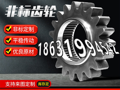 链轮全新的